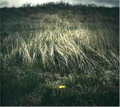 Night Of The Ankou - CD (0182270000147)