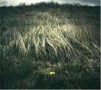 Night Of The Ankou - CD (0182270000147)