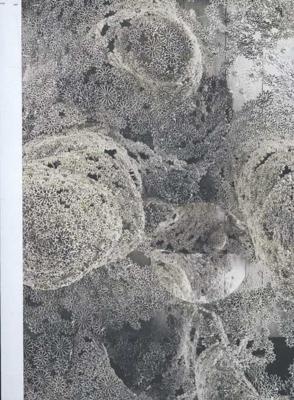 Domestic strangers - Els Hoek, Tanja Smeets - Paperback (9789491182174)