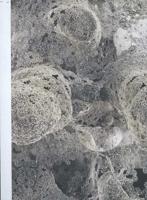 Domestic strangers - Els Hoek, Tanja Smeets - Paperback (9789491182174)