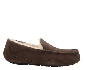 Ugg Ascot 1101110 ESP Bruin 