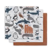 Jollein hydrofiel multidoek small 70x70cm - set van 3 Polar grijs