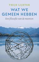 Wat we gemeen hebben - Thijs Lijster - ebook