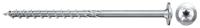 fischer - PowerFast FPF II WTP frameschroef 6,0 x 180 verzinkte coating, gedeeltelijke schroefdraad, schijfkop met Torx/doos van 100 stuks
