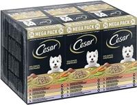Cesar Bowl Multipack Landragout 4 Varianten 24X150G