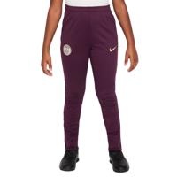 Nike Paris Saint-Germain Strike Trainingsbroek 2024-2025 Kids Paars Groen Wit Goud