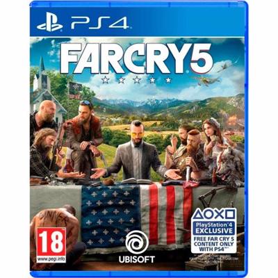 Ubisoft Far Cry 5 (PS4) Basis Meertalig PlayStation 4