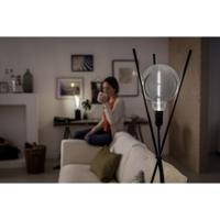 Philips Lighting 81506900 LED-lamp E27 Globe 6.5 W = 25 W Neutraalwit (Ø x l) 200 mm x 286 mm Dimbaar 1 stuk(s) - thumbnail