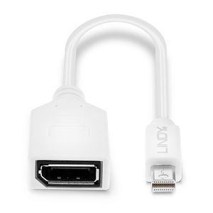 LINDY 41021 DisplayPort / Mini-displayport Adapterkabel [1x DisplayPort bus - 1x Mini-DisplayPort stekker] Wit 15.00 cm