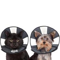 ZenPet ProCone E-halsband voor huisdieren voor honden en katten - comfortabele zachte herstelkraag is verstelbaar voor een veilige en aangepaste pasvorm - gemakkelijk voor huisdieren om te eten en te