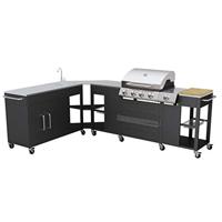 VidaXL 40428 Gasbarbecue, voor barbecues en barbecueën, zwart, roestvrij staal, rechthoekig, roestvrij staal
