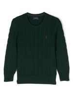 Ralph Lauren Kids pull en maille torsadée à logo Polo Pony - Vert