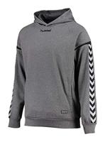 Hummel AUTH. CHARGE POLY HOODIE, donkergrijs melange, 128 (M)