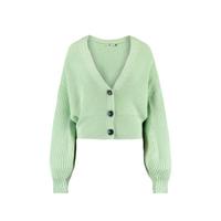 America Today gebreid vest Kenzi light green