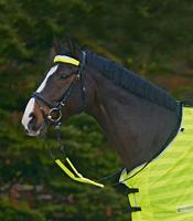 Reflex Trensen-Set