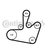 Poly V-riem set CONTINENTAL CTAM, u.a. für Skoda, VW, Seat