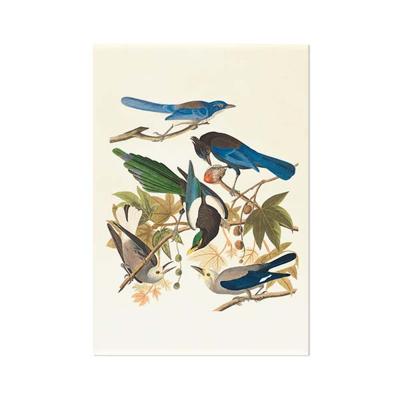 Schilderij op Paneel Vogels Aluminium 50x70 Een Ophangplaat Schilderij op Paneel Vogels Aluminium 50x70 Een Ophangplaat