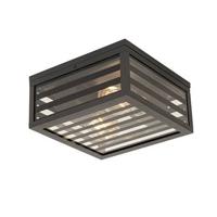 QAZQA Moderne buiten plafondlamp zwart glas 2-lichts IP44 - Reims - thumbnail