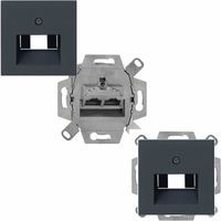 Netwerkaansluiting cat6A 2 x 8 polig RJ45 met inzetplaat Gira E2 zwart Netwerkaansluiting cat6A 2 x 8 polig RJ45 met inzetplaat Gira E2 zwart