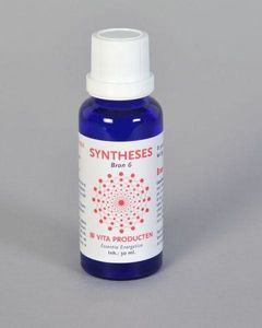 Vita Syntheses bron 6 het ego (30 ml)