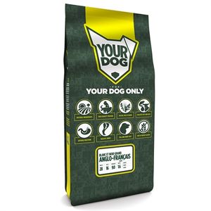 Yourdog Grand anglo-fran�ais blanc et noir pup