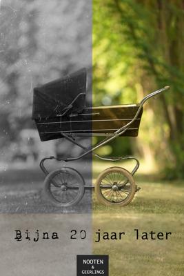 Bijna twintig jaar later - Geertje Geerlings, Mich Nooten - eBook (9789083291345)
