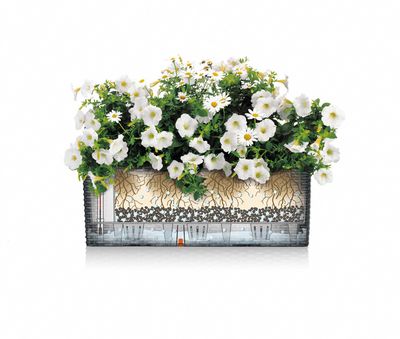 LECHUZA BALCONERA 50 Binnen/buiten Plantenpot Ophanging Polypropyleen (PP) Grijs