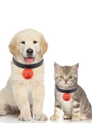Halloween Pumpkin Bell Collar Decoration Dog Cat Necklace