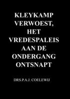 Drs.P.A.J.  Coelewij Kleykamp verwoest, het Vredespaleis aan de ondergang ontsnapt