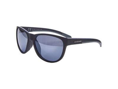 Blizzard POLSF701 110