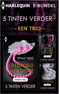 5 Tinten Verder e-bundel - een trio - 3 - Tiffany Reisz, Sherri Denora, Portia DaCosta - ebook