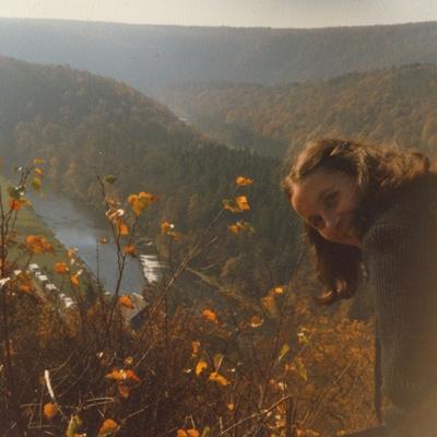 Nin - CD (5414165081173)