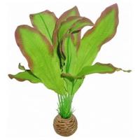 Superfish easy plants hoog nr. 9, van zijde 20 cm - 1 ST