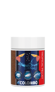 Colombo Tropical Korrel 100ml/70g - Compleet Dagelijks Voer voor Vitaliteit Tropische Vissen