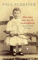 Alles doet mee aan de werkelijkheid - Paul Scheffer - ebook