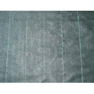 Nature Anti-worteldoek 4,2x5 m zwart