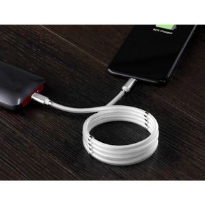 Renkforce USB-kabel USB 2.0 USB-C stekker, Apple Lightning stekker 1.00 m Wit TO-6886779