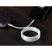 Renkforce USB-kabel USB 2.0 USB-C stekker, Apple Lightning stekker 1.00 m Wit TO-6886779 - thumbnail