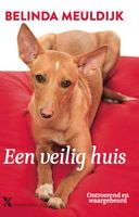 Een veilig huis - Belinda Meuldijk - ebook - thumbnail