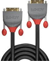 LINDY 36222 DVI-kabel DVI Aansluitkabel DVI-D 24+1-polige stekker, DVI-D 24+1-polige stekker 2.00 m Zwart