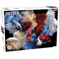 Puzzel Animals: Fighting Fish Puzzel - thumbnail