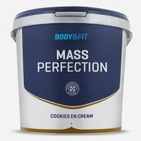 Mass Perfection Weight Gainer