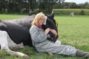 Workshop: Koeknuffelen met boerderijbezoek