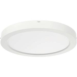 RIDI 322094 322094 LED-plafondlamp LED Wit