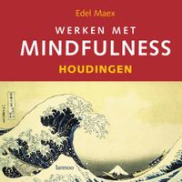 Werken met mindfulness - houdingen