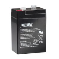 Gallagher Batterij 6V 4Ah voor S10, S16, S20 - 075188 075188