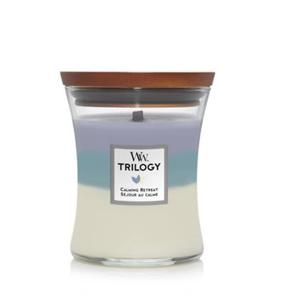 WoodWick 92965 kaars Overige Eucalyptus, Lavendel Blauw, Paars, Wit 1 stuk(s)