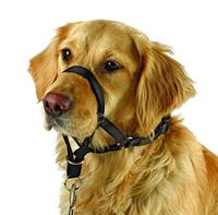 MAXI COACH maat 3 zwart