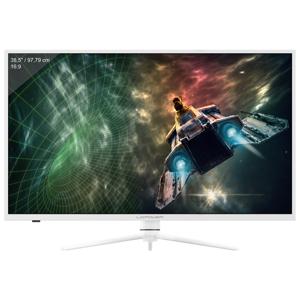 LC Power LC-M39-QHD-165-C Gaming monitor Energielabel G (A - G) 97.8 cm (38.5 inch) 2560 x 1440 Pixel 16:9 4 ms Audio, stereo (3.5 mm jackplug), DisplayPort,