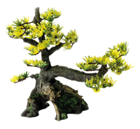 Superfish Deco Bonsai M - Duurzame Hars Aquarium Decoratie voor Middelgrote Tanks - thumbnail